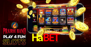 Casino Ao Vivo Habet